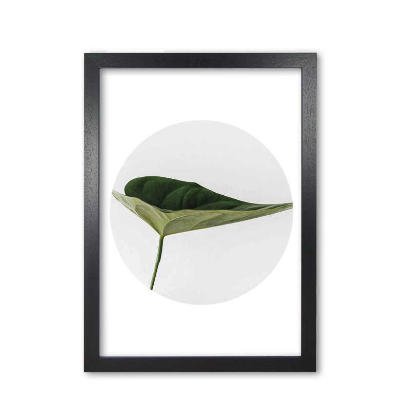 Doc Leaf - Print, Black Grain Frame, 60 cm H x 42 cm W x 5 cm D