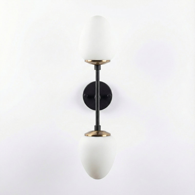 Elora 2-Light Armed Sconce, Black