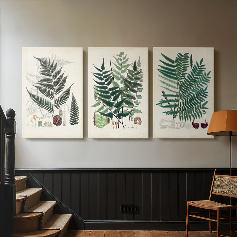 Collectionner Ferns VI - Toile tendue avec châssis sur mesure - 3 pièces, H 18 po x l 36 po