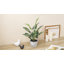 15'' Faux Philodendron Taro Plant in Pot