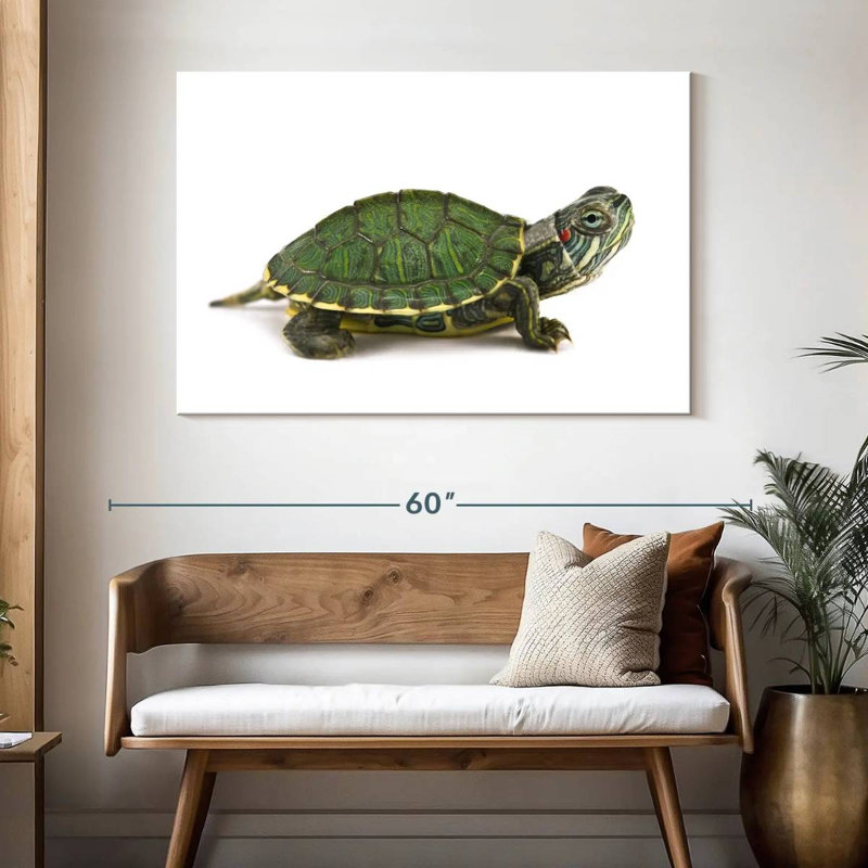 Red Eared Turtle, 32" H x 48" W