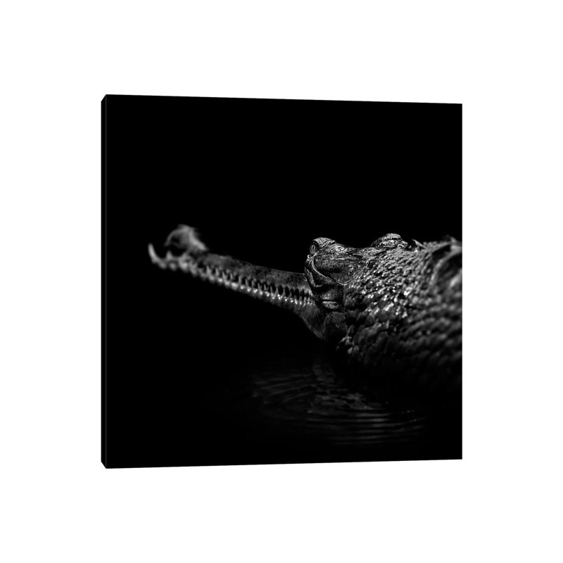 Gavial in Black and White 1 Piece Wrapped Canvas Wall Art, 45.72 cm H x 45.72 cm W x 3.175 cm D
