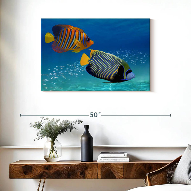 Poisson-ange exotique empereur, H 24 po x l 36 po