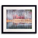 Winter Aspen Grove And Pond Print by Bruce Heinemann