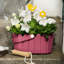 Planter-104391892