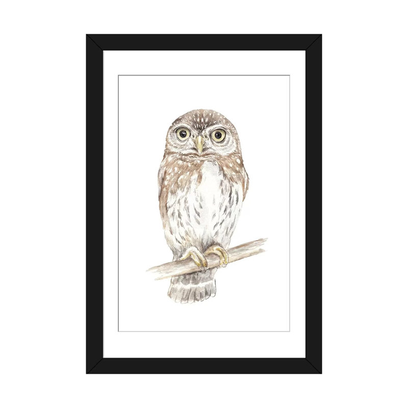 « northern pygmy hibou », impression sur toile, H 32 po x l 24 po x P 1 po, Papier d'art encadré noir, Blanc