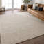 Area Rug-1931635770-1902150327
