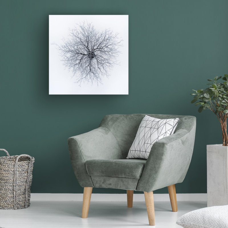 Bolog Branko Markovic  Dendrites Canvas Art, 24" H x 24" W