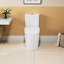 Ceramic Elongated Toilet, 1.1/1.6 , White, Comfortable, Soft Close Seat, & , T036wt Elongated,