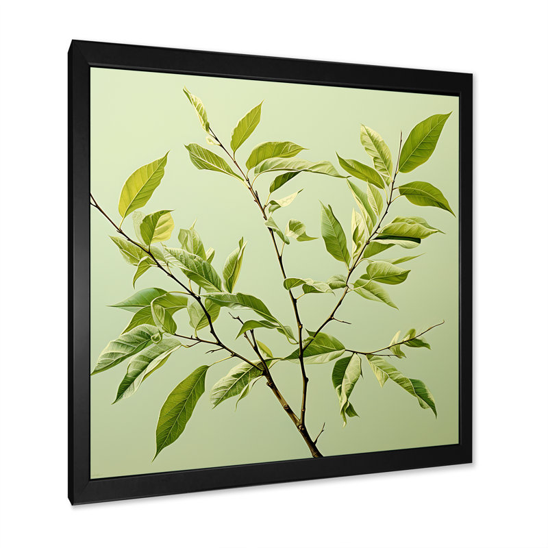 «Green Ferm Simple Collage I», reproduction sur toile, Cadre simple noir, H 36 po x l 36 po x P 1,5 po