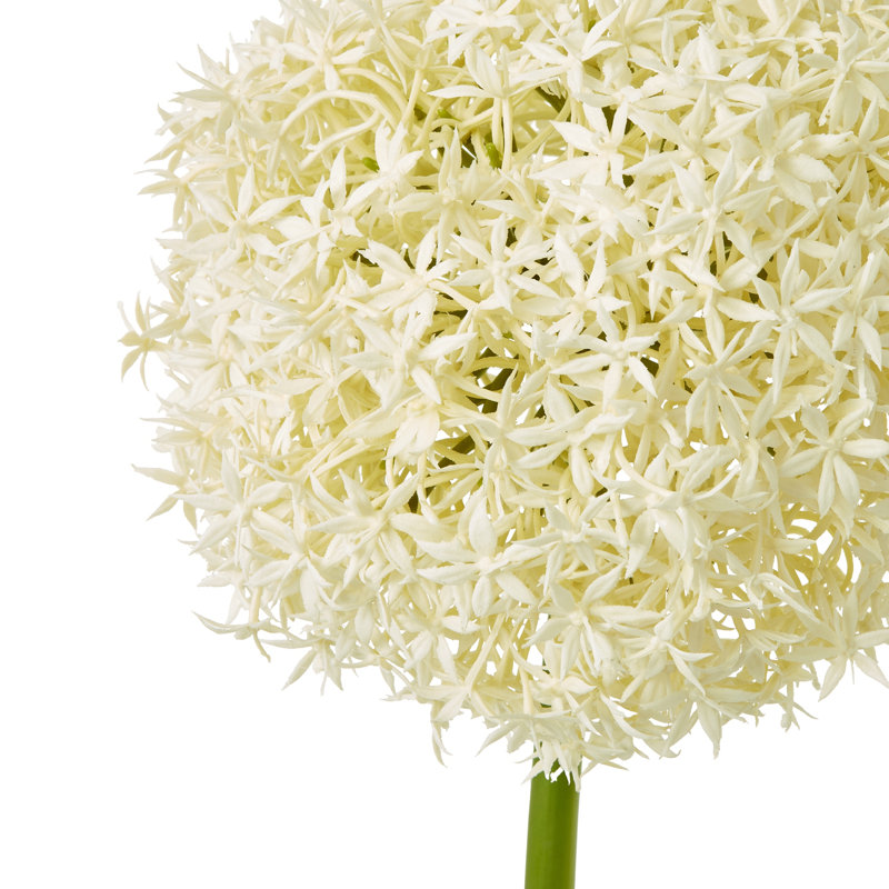 Arrangement, 90cm H x 12cm W x 12cm D, Cream