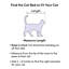 Coussin Campion-231270334-229922935