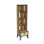 Aaravjit 160 cm H x 42 cm W Standard Bookcase