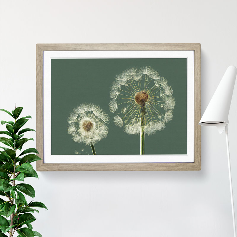 Ethereal Dandelion Flowers - Framed Print, 25cm H x 34cm W x 2cm D, Oak