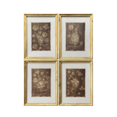 «Botanical Impression», ensemble de 4 impressions encadrées