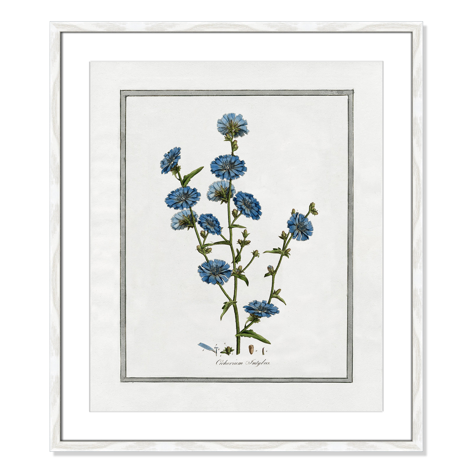 Soft Botanical I - Framed Art Full Bleed, 21.5" W x 25.5" H, White Framed
