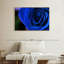 Bleu rose arbuste-968050429-968050418