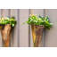 Aaru Metal Wall Planter