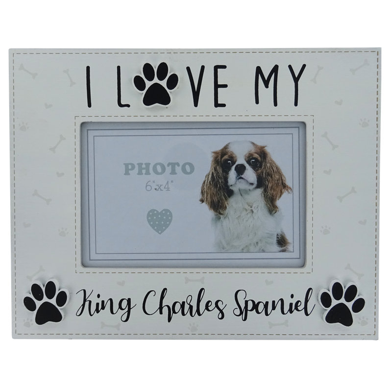 Davila White Solid + Manufactured Wood Picture Frame