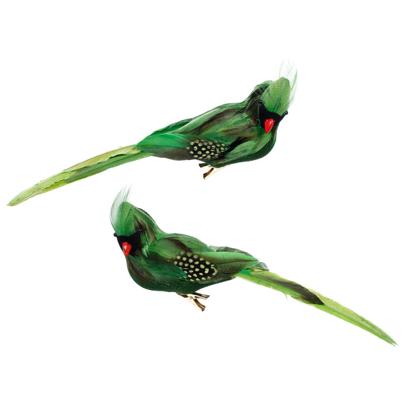Décoration d'oiseaux tropicaux, boîte de 6 - 11 X 3,5 pouces