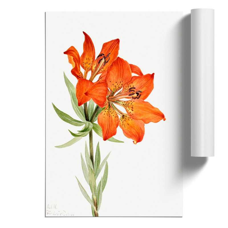 Red Lily 1 Piece Painting, 42cm H x 30cm W x 0.1cm D
