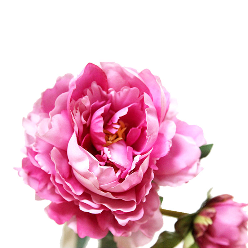 Ensemble de 3 tiges de pivoines à une seule branche 20 po, Rose foncé