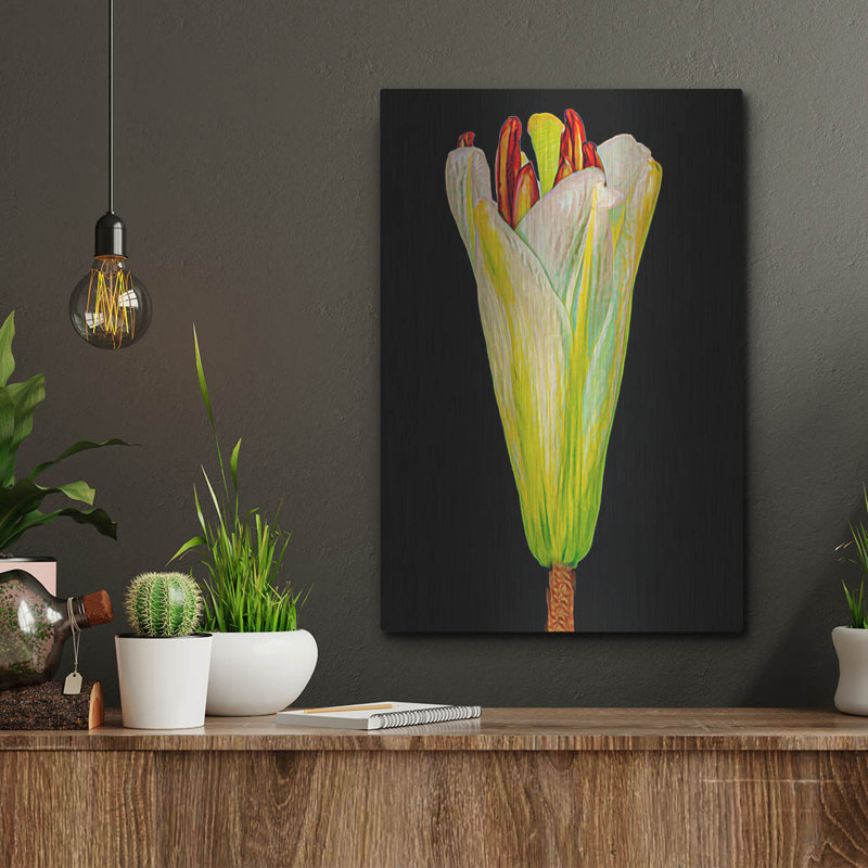 " Lily Bud " by Pamela Plummer, 16" H x 12" W