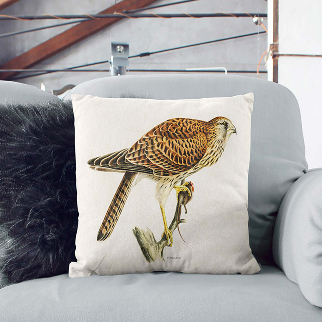 Common Kestrel by Von Wright Cushion with Filling