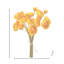 Ensemble de jardin Renoncule de jardin X6 11 po -1983976999