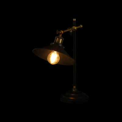 Lenius Metal Desk Lamp