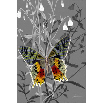 On Display IV - Wrapped Canvas Print