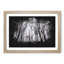 Never Ending Forest In Italy - Single Picture Frame Print on MDF-56866598-56866606