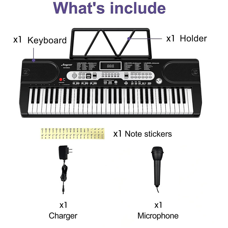 61-Key Portable Keyboard Piano, with Detachable Microphone, Charger, Electric Keyboard Teaching