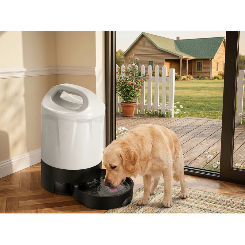Distributeur d'eau portatif pour chien de 1 gallon (128 oz) de grande capacité, bol rétractable, noir, articles de camping et de randonnée essentiels pour chiens
