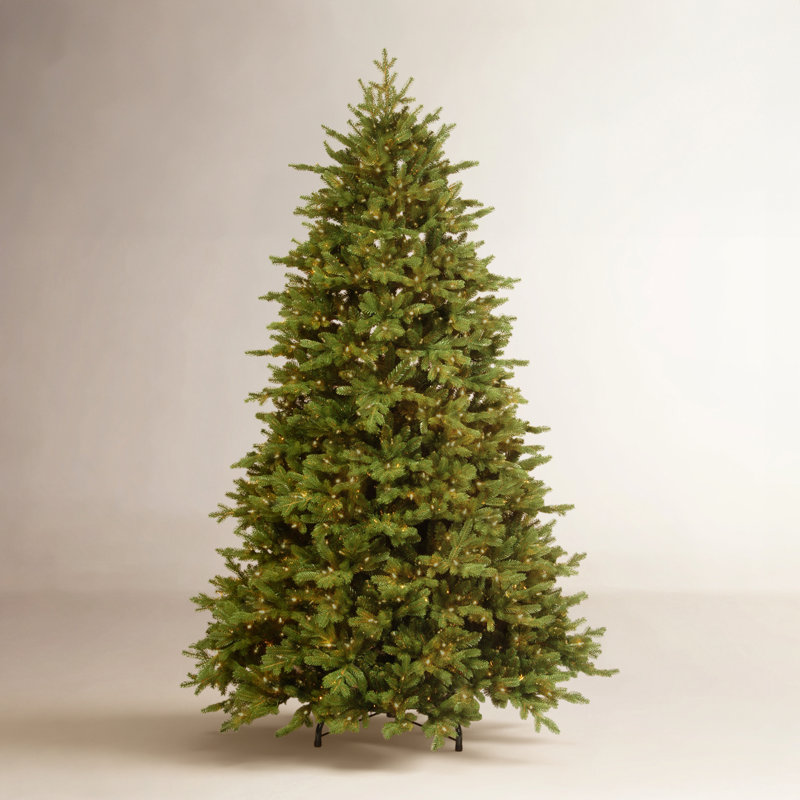 Princeton Deluxe Fraser Fir