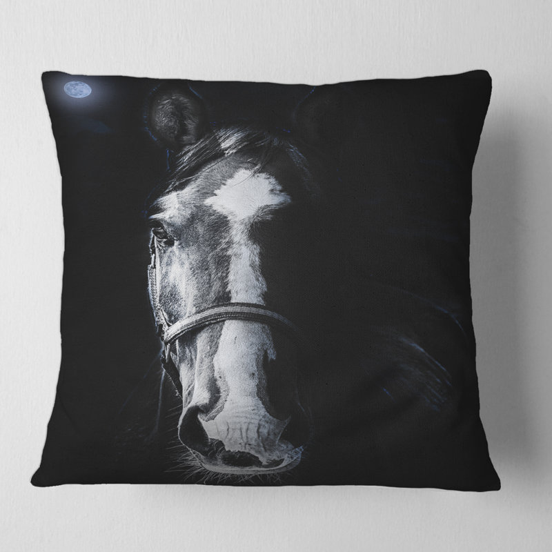 Housse de coussin et insert pour cheval, 16" x 16"