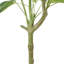 120CHA PACHIRA Macrocarpa artificiel-1366583764