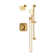 Oak HydroMersion Shower Faucet Trim with Hand Spray