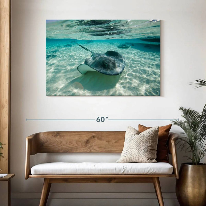 Underwater Southern Stingrays, 30" H x 45" W