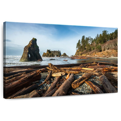 Bois flottant Alvord Ruby Beach