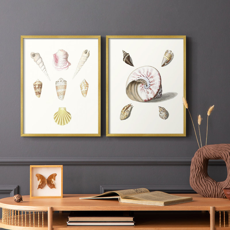 «Pastel Knorr Shells I», reproduction encadrée de qualité supérieure - prête à être accrochée - aucun clou requis - aucun clou requis