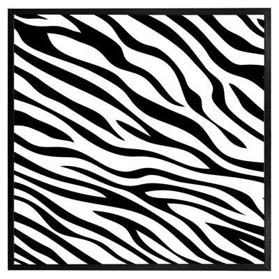 Aschley Of Zebra Stripes - Single Picture Frame Print