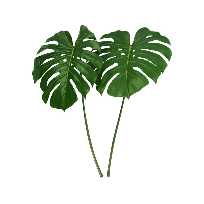 Creative Displays, Inc. Philodendron Stem (Set of 2) & Reviews | Perigold