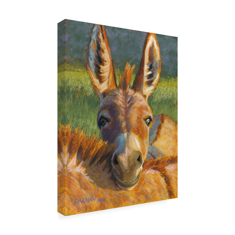 Art mural sur toile tendue - "Peek-a-Burro" par Rita Kirkman pour décoration de salon, de chambre à coucher ou de bureau - 18 x 24
