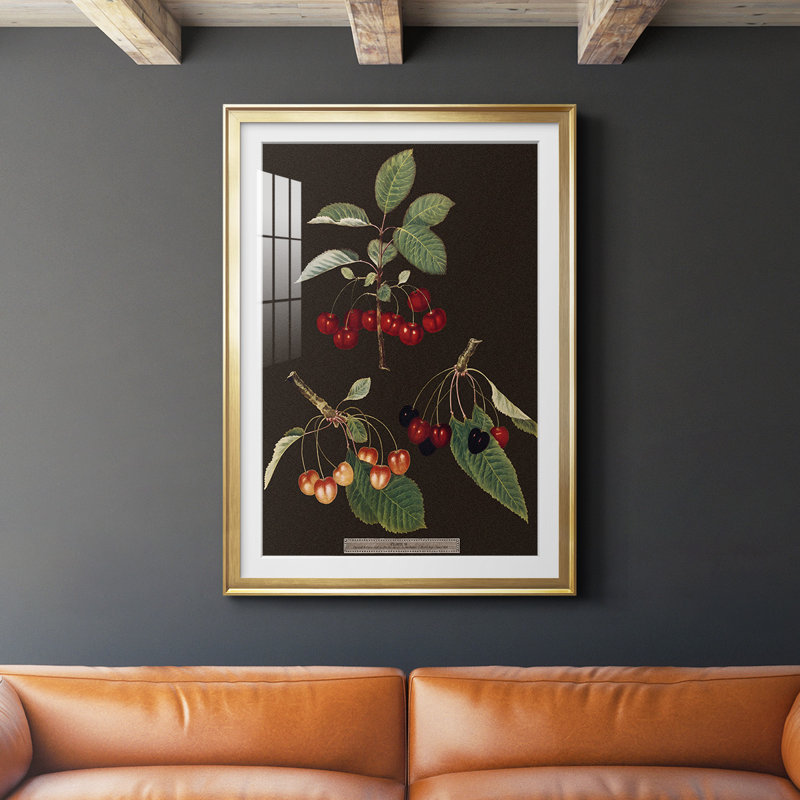 Brookshaw Cherries, reproduction encadrée de qualité supérieure - prête à être accrochée, Cadre doré