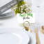 Cartes de place en eucalyptus verdoyant pour tables de fête de mariage, places assises nominatives pour supports, paquet de 60