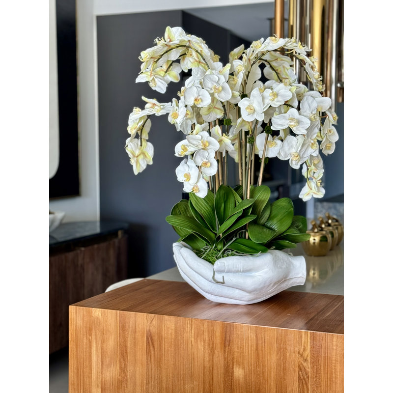Orchid Floral Arrangement in Vase, White