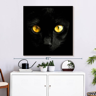 Brampt Yellow-Eyed Black Cat