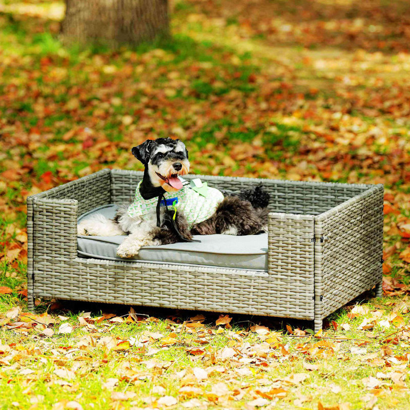 Lit pour chien Seasonal PE, H 16,97 po x l 38,5 po x P 26,5 po, Gris foncé
