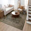 Tapis Karastan-92269046